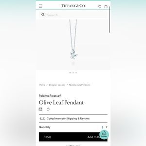 Brand New Sterling Silver Tiffany & Co. Necklace with pouch, box, card, and bag